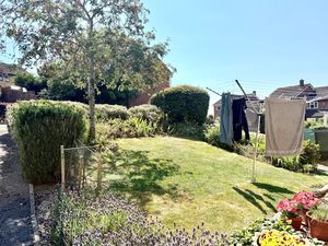 Communal Gardens- click for photo gallery